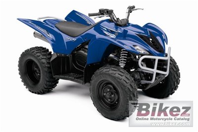 2009 Yamaha Wolverine 450 Auto 4x4 photo